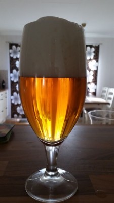 Festbier2.jpg