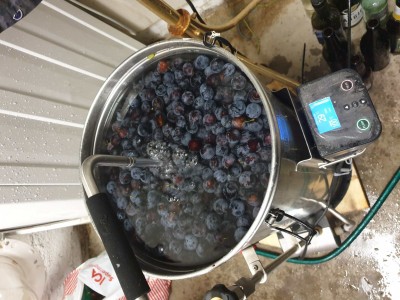 20190915_110131_compress92.jpg